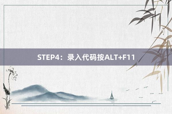STEP4：录入代码按ALT+F11